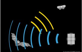 The NRG Bat Deterrent Systems create constant ultrasonic noise at the same frequency as the bat call. When a bat enters the airspace where the deterrent units are operating, the ultrasound from the deterrent units will be louder than the echo return the bat is listening for. This effectively “jams” the bats ability to hear its own return.