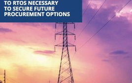 more than 100 U.S. corporate buyers —members of the Renewable Energy Buyers Alliance — have set a goal of purchasing 60 gigawatts of new U.S. renewable energy capacity by 2025