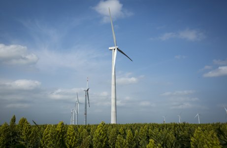 Acciona el cortijo wind farm