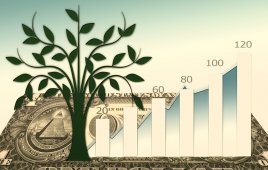 Growth of green bonds