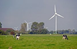 Iowa wind farm