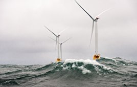 ACP releases statement after Trump’s executive order stopping offshore wind development