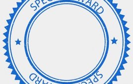 Special award