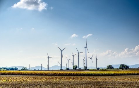 Wind Farm