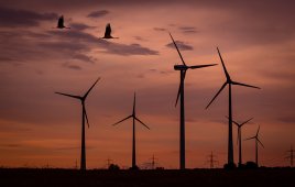 Wind turbines and birds