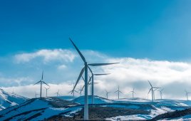 Wind turbines in winter