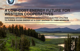 A Low-cost Energy Future report cover