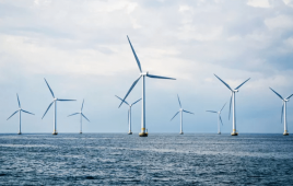 Offshore wind farm